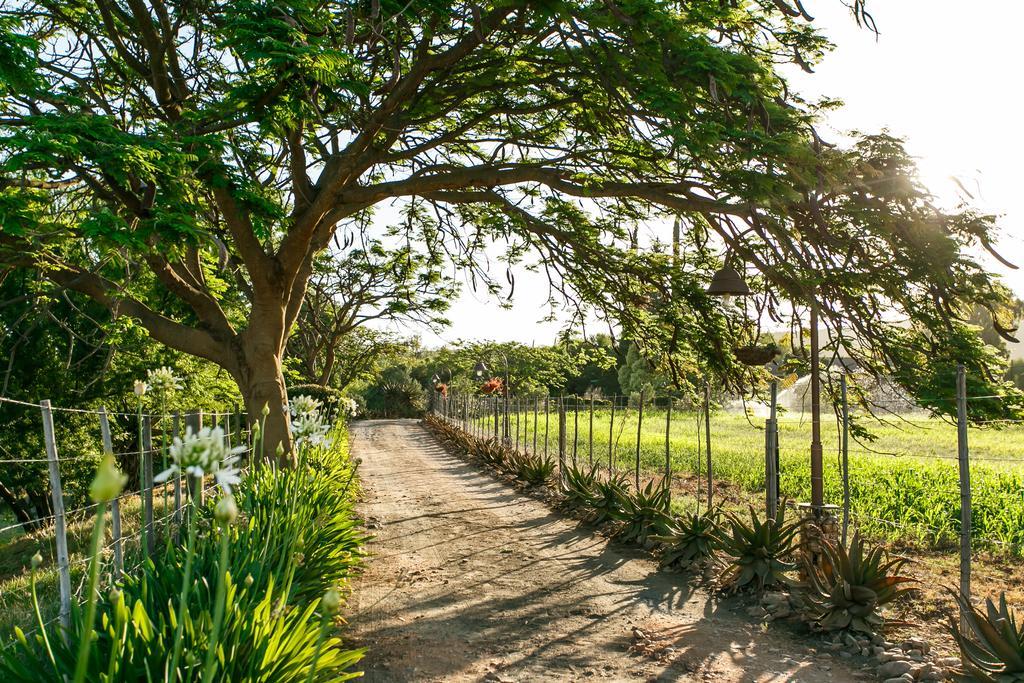 Die Fonteine Country Guesthouse And Glamping Oudtshoorn Exterior photo